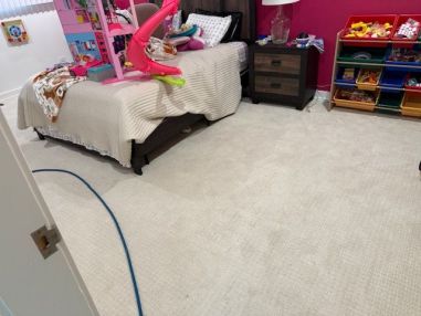 Before & After Carpet Cleaning in Chicago Heights, IL (1)