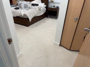 Before & After Carpet Cleaning in Chicago Heights, IL (3)