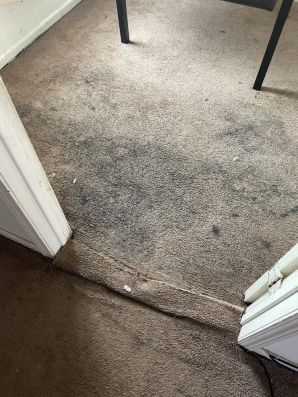 Before and After Commercial Carpet Cleaning in Lansing, IL (1)