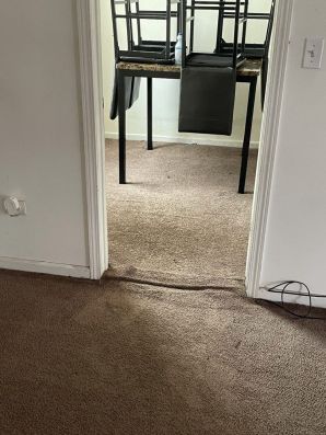 Before and After Commercial Carpet Cleaning in Lansing, IL (2)