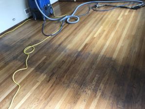 Before and After Hardwood Floor Cleaning in Lansing, IL (1)
